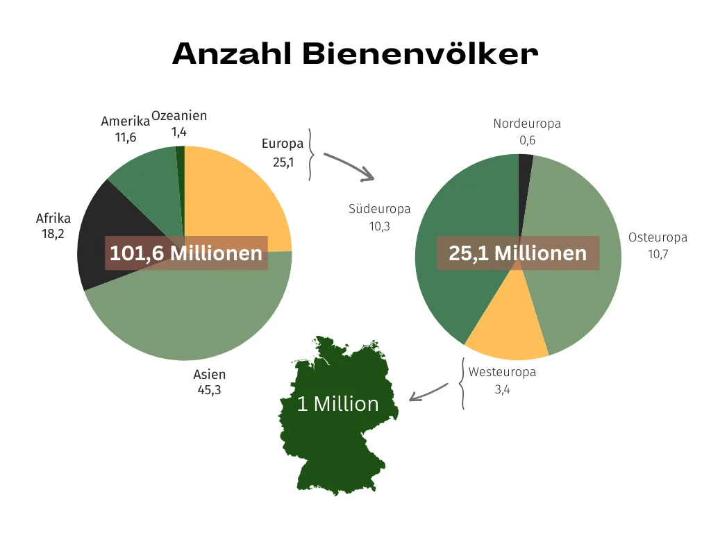 Grafik zeigt die Anzahl der Bienenvölker weltweit und in Europa